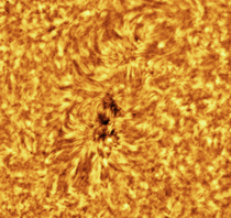 New sun spots and active region captured with a Daystar quark