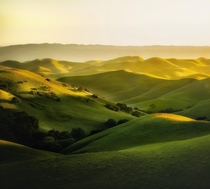 New Windows Wallpaper Rolling Meadows of Livermore CA 