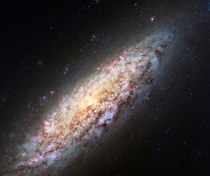 NGC  a dwarf spiral galaxy  million light-years away  by NASA Goddard Space Flight Center