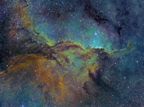 NGC  Dragon Nebula