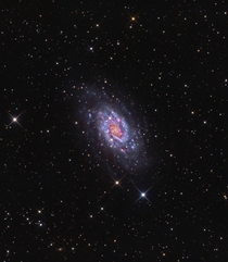 NGC - Northern Spiral Galaxy 
