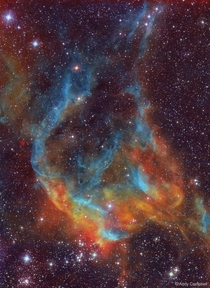 NGC  Star Cluster Near Carina Nebula Stunning Colors Hundreds Of Young Stars