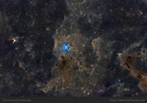 NGC  - The Iris Nebula