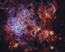 NGC  - The Tarantula Nebula 