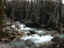 Nigel Creek Alberta 