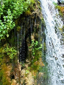 Nimrod Montana Waterfall 