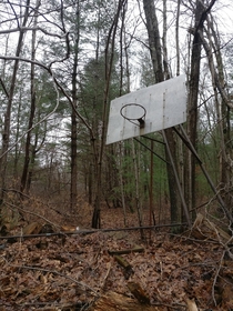 No ones played basketball here in a long time