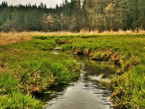 normal Creek Creek in south moravia czech republic OC x
