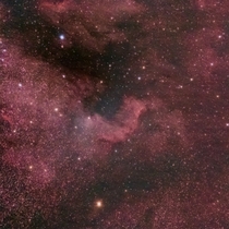 North America Nebula from my suburban skies