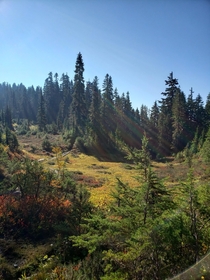 North Cascades alpine meadow Whatcom County 
