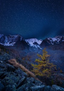 North Chu Ridge Altai Republic Russia  photo by Alexander Ermolitskii
