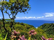North shore Mauii 