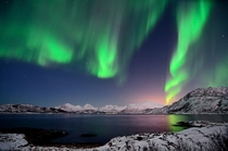 Northern lights in Sommaroy Troms Fylke Norway - Photo by John A Hemmingsen 