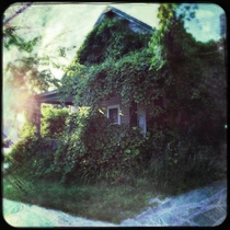 Not abandoned but sure looks it This house has vines like this every year