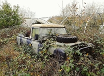 Not as amazing as some other things Ive seen on this subreddit but I thought some of yall would appriciate this little abandoned truck I found in Norfolk England today There was several acres of abandoned agricultural land derelict greenhouses storage uni