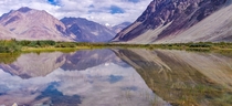 Nubra Valley Ladakh India 