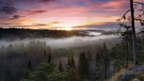 Nuuksio National Park Finland 