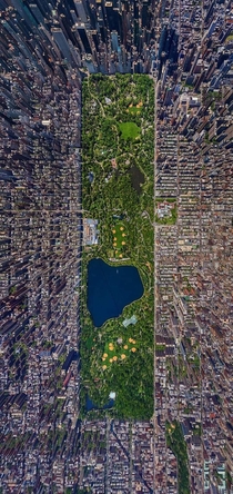 NYC  where the urban jungle meets the natural world 