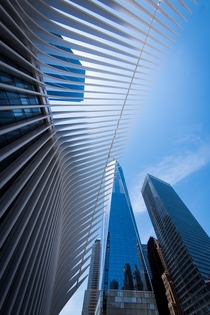 NYC - World Trade Center Complex in Summer OC