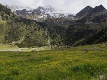 Oberbergtal Tyrol Austria 