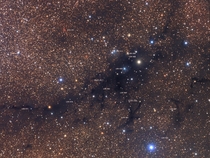 Obscuring the rich starfields of northern Cygnus dark nebula LDN  lies near the center of this cosmic skyscape Composed with telescope and camera the scene is some  degrees across That corresponds to  light-years at the estimated  light-year distance of L