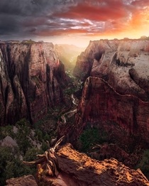 Observation Point within Zion NP - Utah 