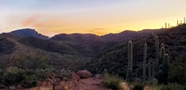 OC Evening hike in the Sonora desert 