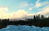 OC Hooknose Peeking Through The Clouds Washington State taken by me on  Res