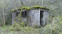 OC Line side hut on the Waverley railway line x
