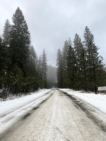 OC Snowy road near Garden Valley ID