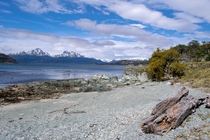OC Tierra del Fuego National Park Argentina x