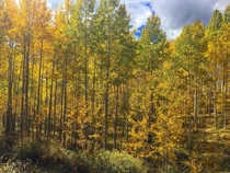 October in Colorado 