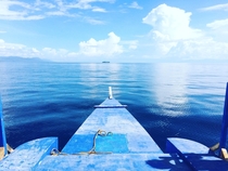 Off the coast of Moalboal Cebu Shortly before watching a school of sardines 