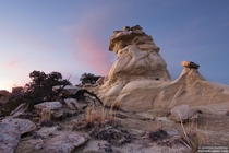 Ojito Wilderness New Mexico - 