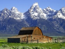 Old Barn in the Grand Teton National Park USA 