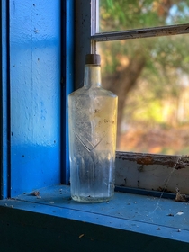 Old bottle in the window of a log cabin in the woods