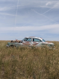 Old Buick southern Montana