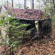 Old Camp Greenville Cabin