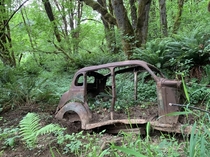 Old car in a temperate forest near the town of Deadwood Oregon