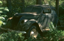 Old car in Patagonian forest 