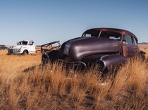 Old cars put out to pasture Bosler Wyoming 