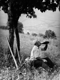 Old farmer drinking wine after sowing Roccanolfi Italy 