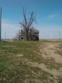 Old farmhouse and tree oc x