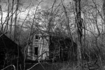 Old house in the Virginia woods