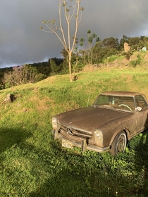 Old Mercedes in Maui Hawaii