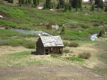 Old Mountian Cabin Near Peru Creek in Colorado  x 