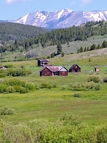 Old Mule Farm near Mt Haggin Montana