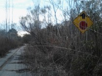 Old Pungo Ferry Road  Album in comments