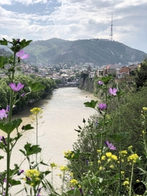 Old Town Tbilisi Mtatsminda mountain in background the Tbilisi TV Tower and the Mtkvari River seen from the citys Isani district Tbilisi Republic of Georgia  