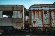 Old train cars rotting away
